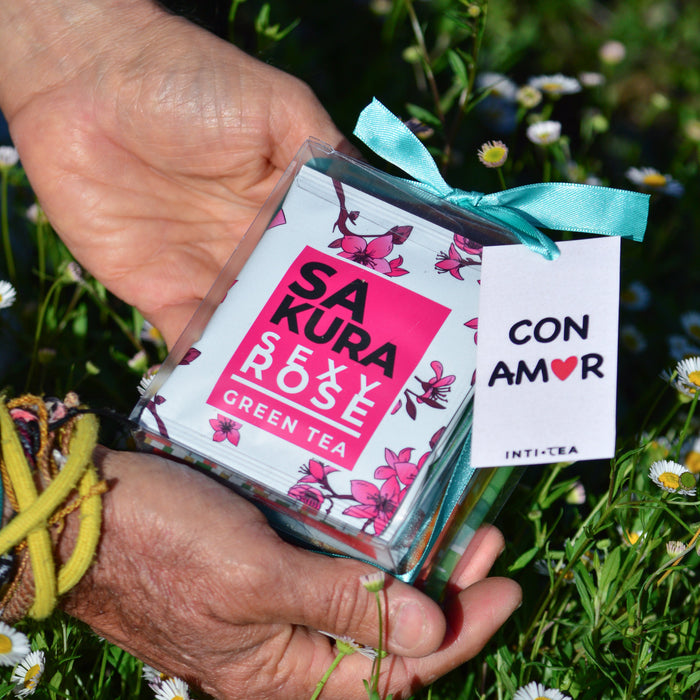 Caja Transparente - 12 Pirámides