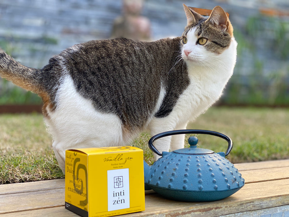 Vanilla Zen - gato - tetera - Infusión de Rooibos & Vainilla